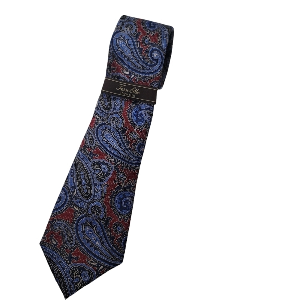 Tasso Elba Men's Paisley Pattern  Tie